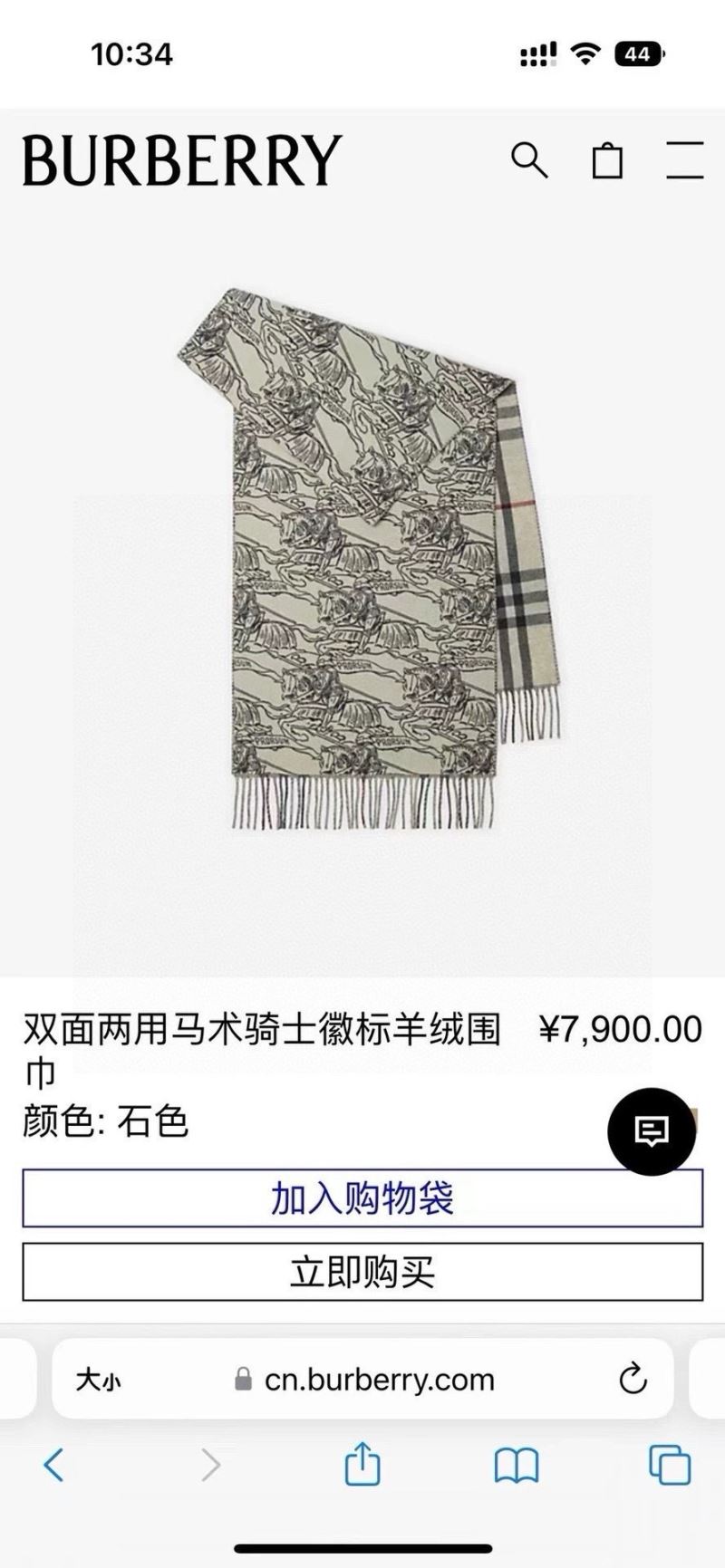 Burberry Scarf